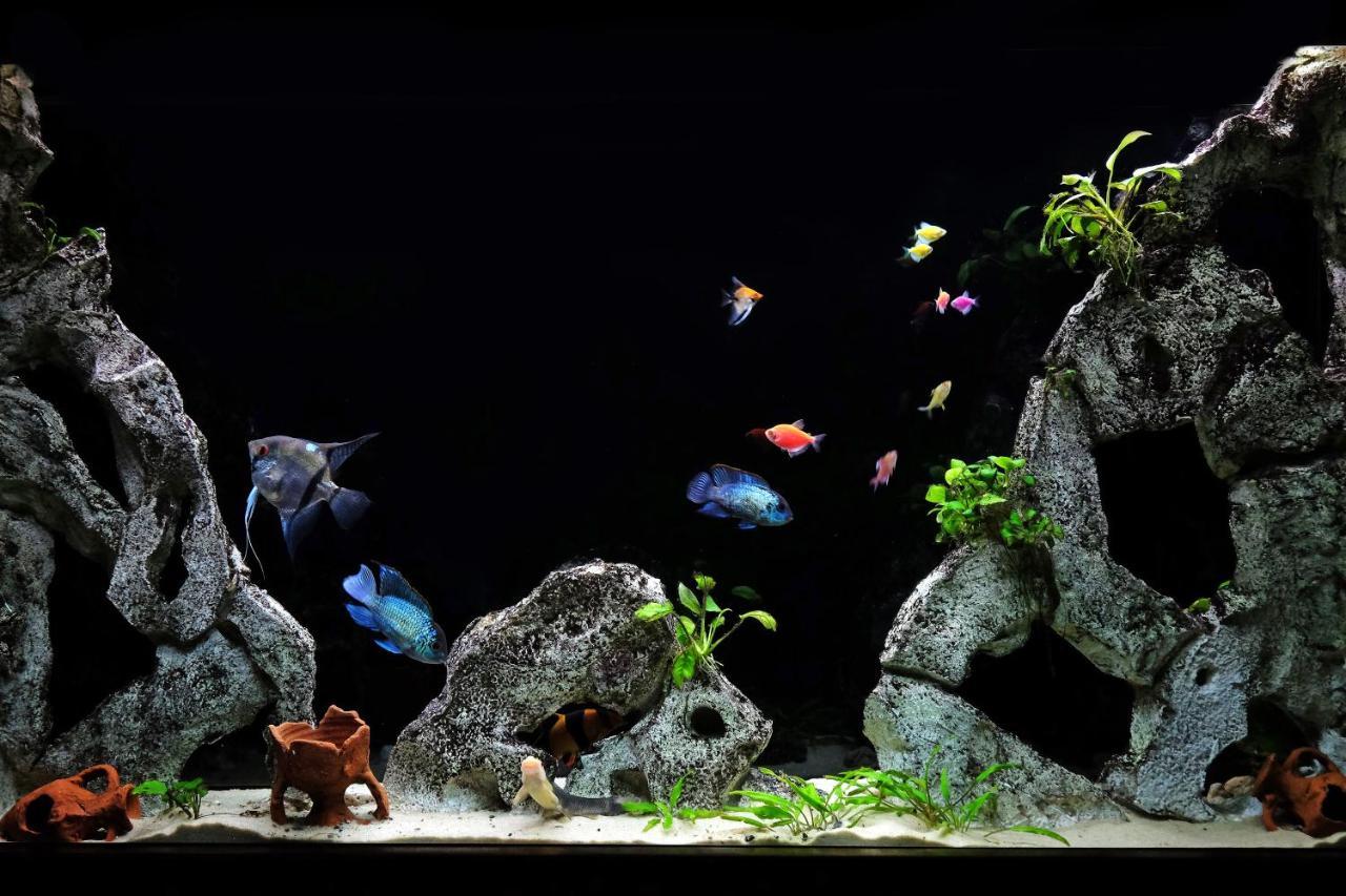 Big Blue Apartment - เบลเกรด ภายนอก รูปภาพ